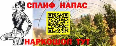 дмт Бузулук